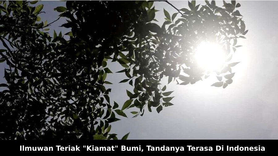 Terasa Di Indonesia